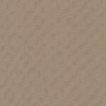 10987_source_1719938025