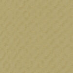 10988_source_1719938025