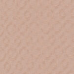 10989_source_1719938025