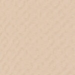 10994_source_1719938025