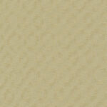 10996_source_1719938026