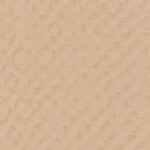 10998_source_1719938025
